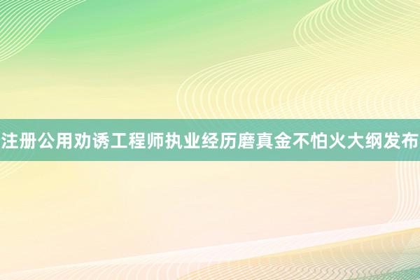 注册公用劝诱工程师执业经历磨真金不怕火大纲发布