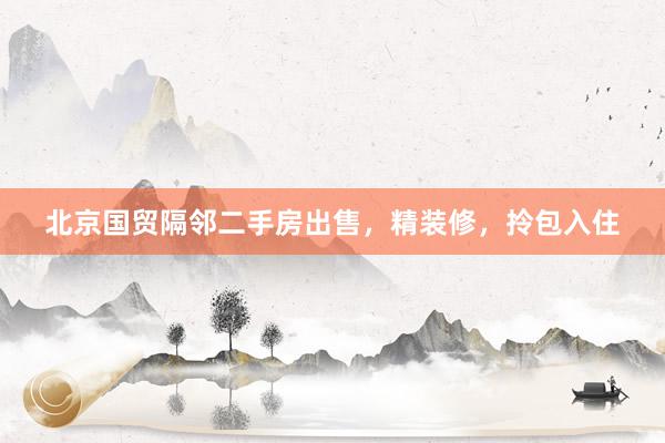 北京国贸隔邻二手房出售，精装修，拎包入住